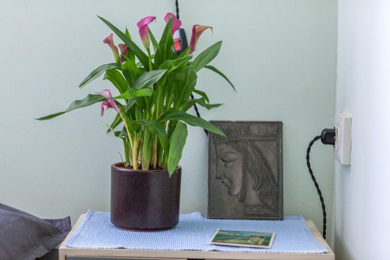Vagabond B&B Tbilisi Zewnętrze zdjęcie